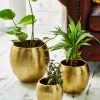 Set Of 3 Statement Gold Hammered Planters