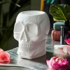 Skull Electric Wax Melter